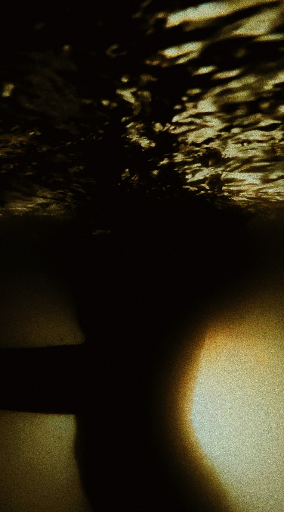 With open eyes. Carolinetru