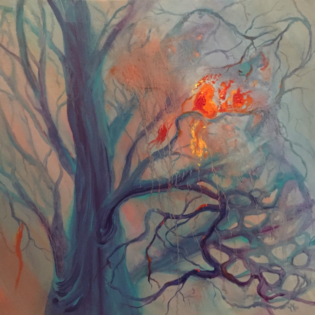 Портфолио. Главная