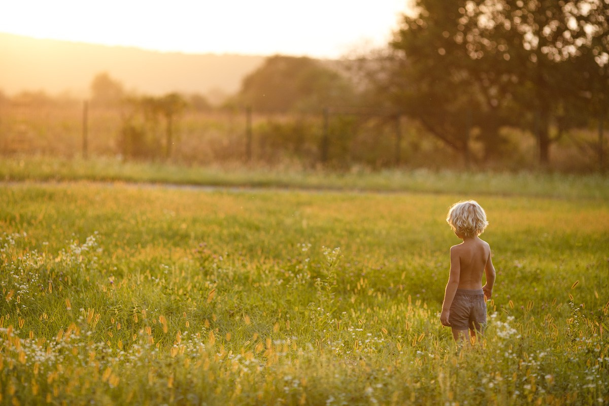 Белые скалы 2019 разное