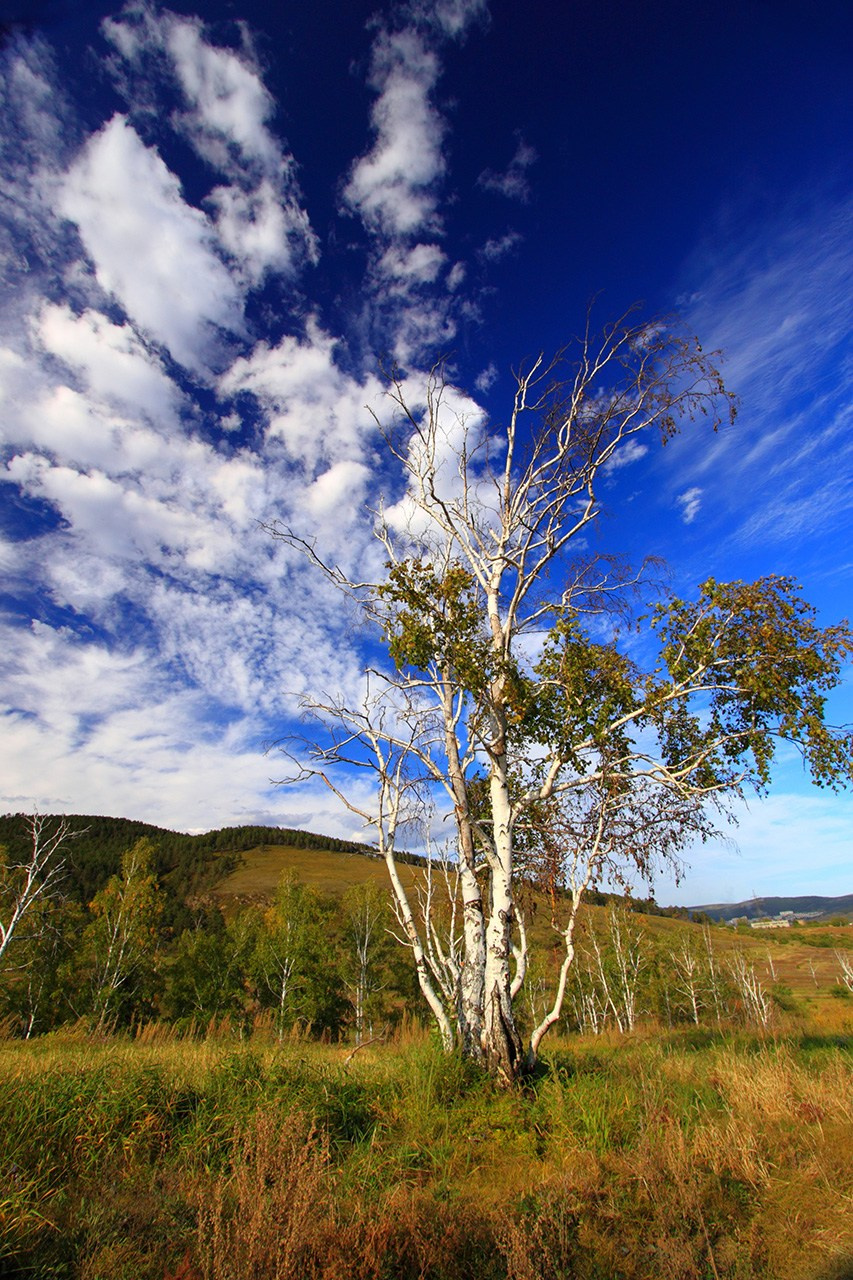 Разное. Профессиональный фотограф Церковных Таинств в Чите Ткачук Юлия
