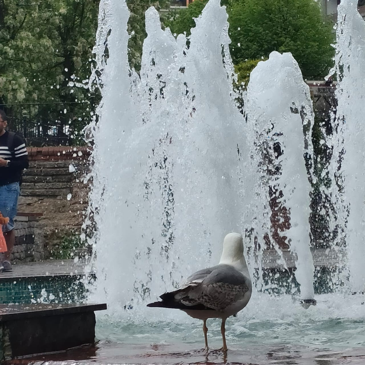 Великолепный Стамбул | 28.04 — 02.05.2024. Галерея Фантим