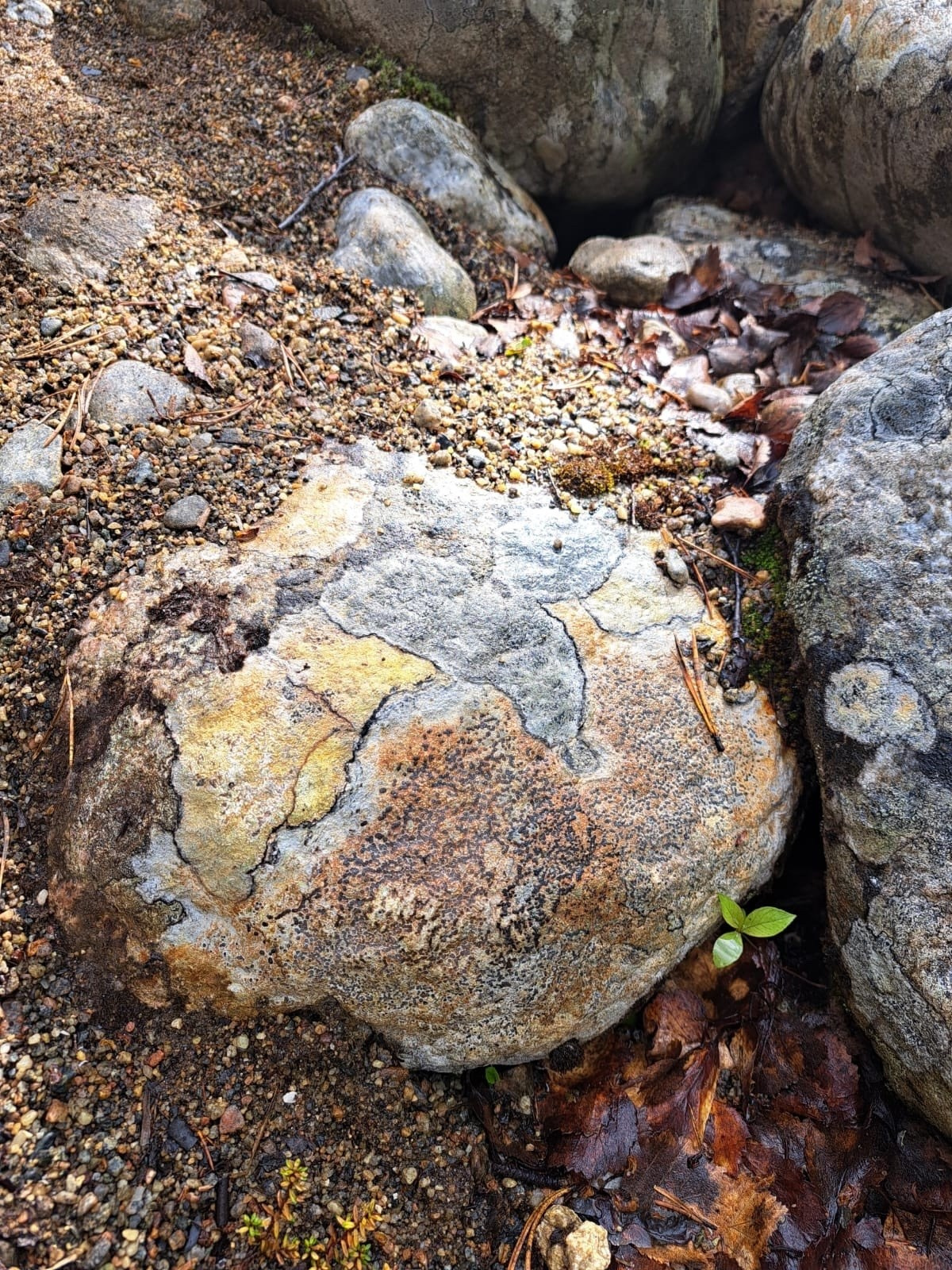 Мурманск | 20-22.06.2025. Галерея Фантим