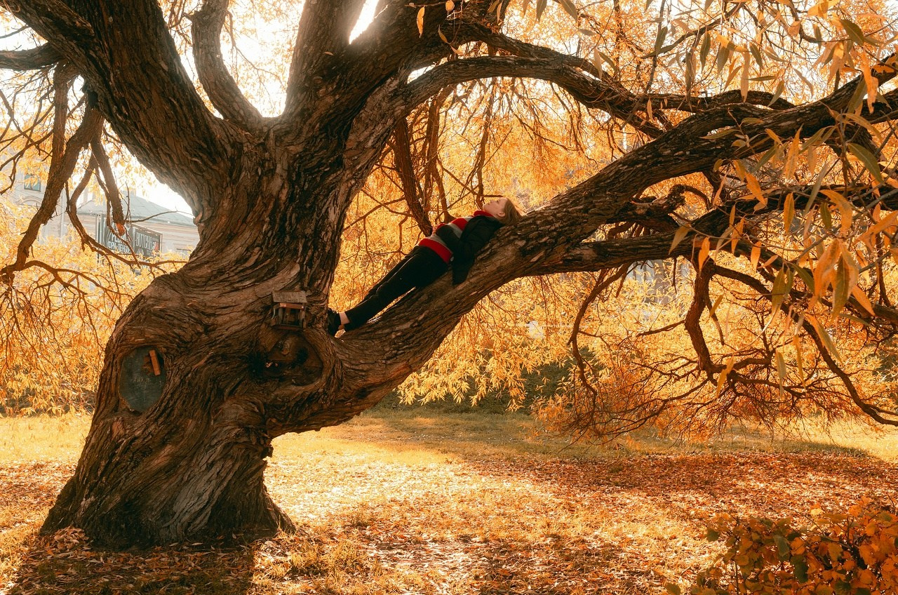 Вся Россия. Фотограф Cyberkyrie