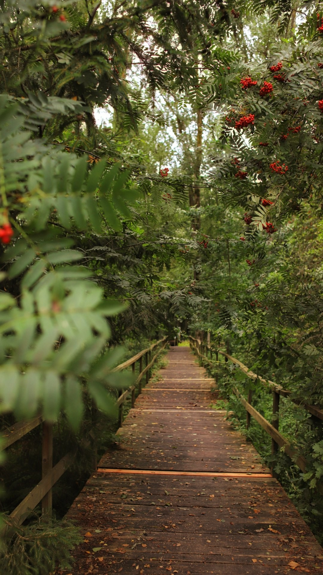 Природа. Фотограф Москва и МО: бизнес и женские портреты, контент для соцсетей