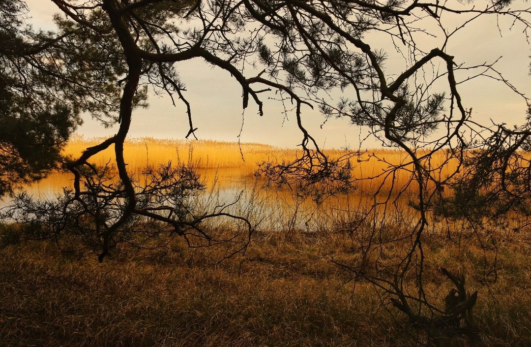 Природа. Фотограф Москва и МО: бизнес и женские портреты, контент для соцсетей