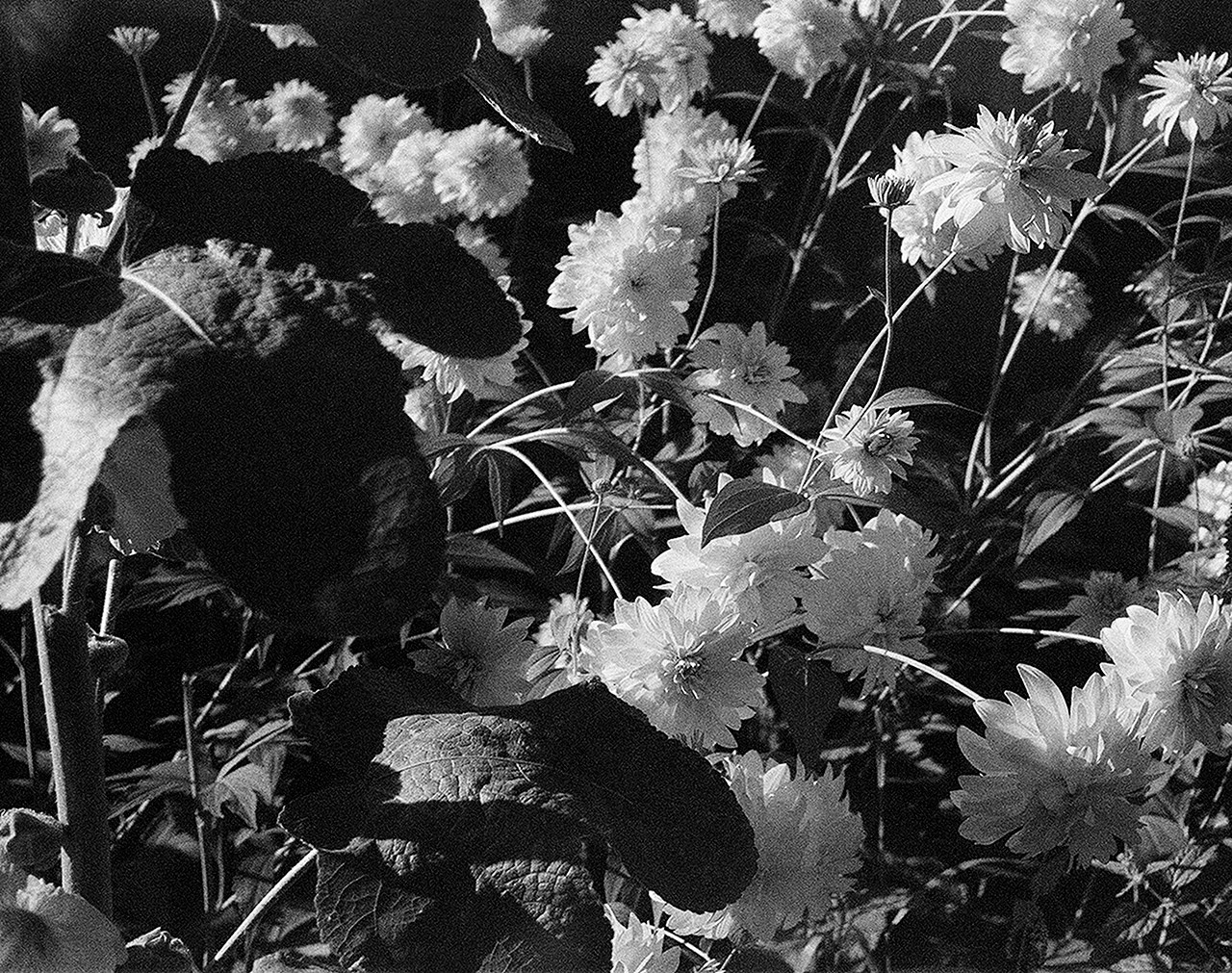 РАЗНОЕ. Андрей Пономарёв