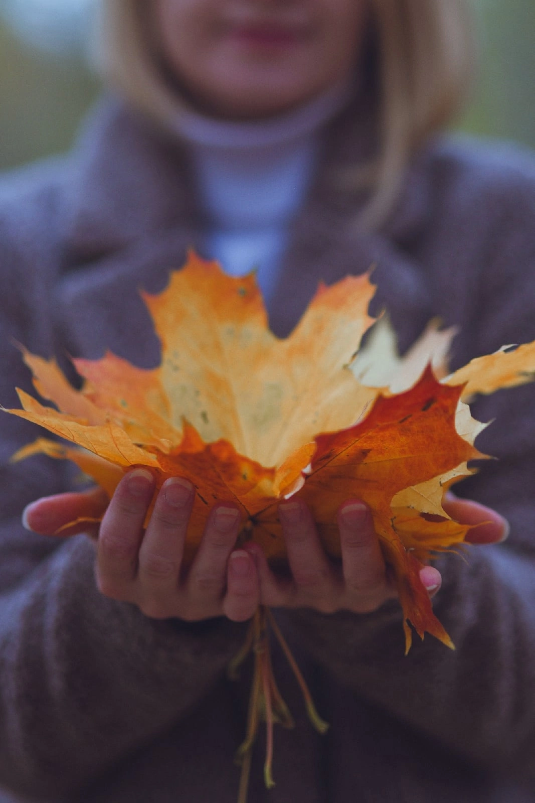 Предметная. Фотограф в Санкт-Петербурге