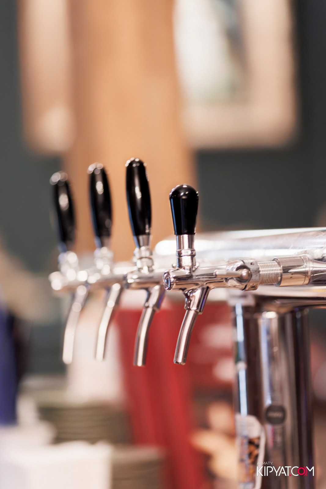 РЕСТОРАН ВЕСЕЛИДЗЕ НА ШАЛЯПИНА. КИПЯТКОМ АЛМАТЫ!