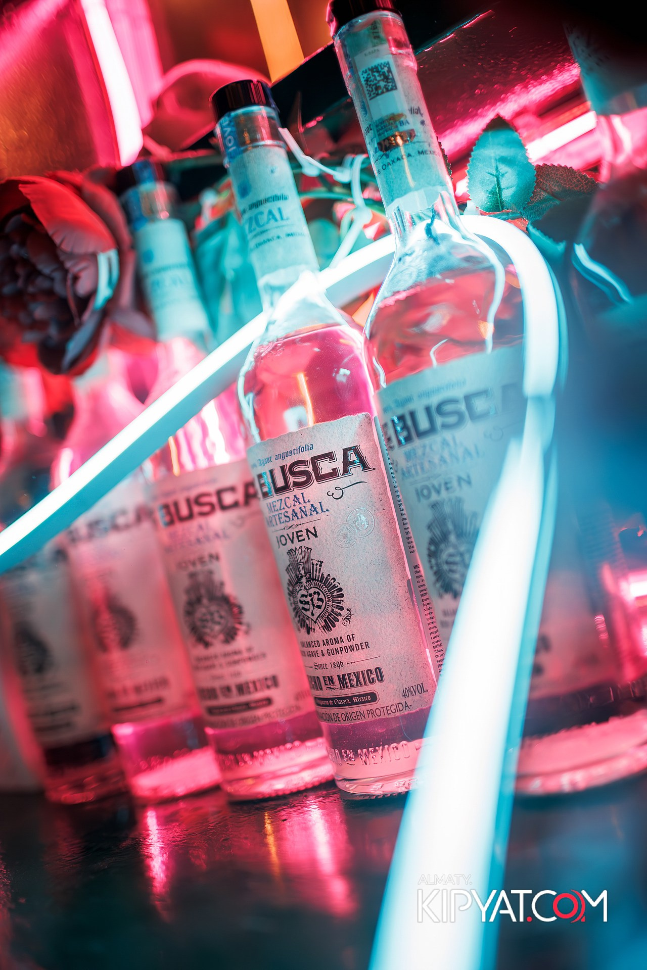 VICTORY MEXICAN AND WILD. КИПЯТКОМ АЛМАТЫ! Фотосъемка мероприятий в Алматы