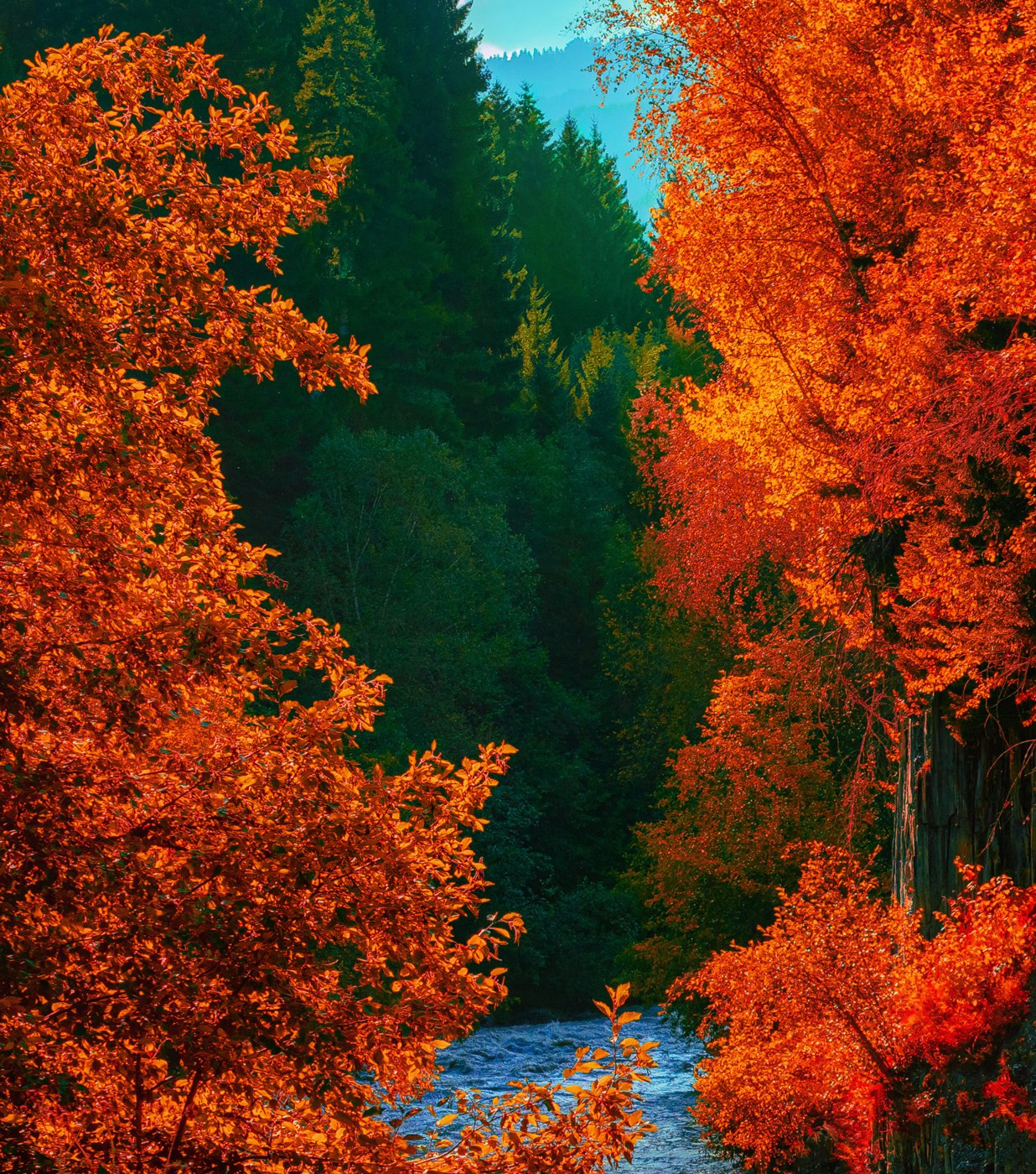 Svaneti, Georgia, 2023