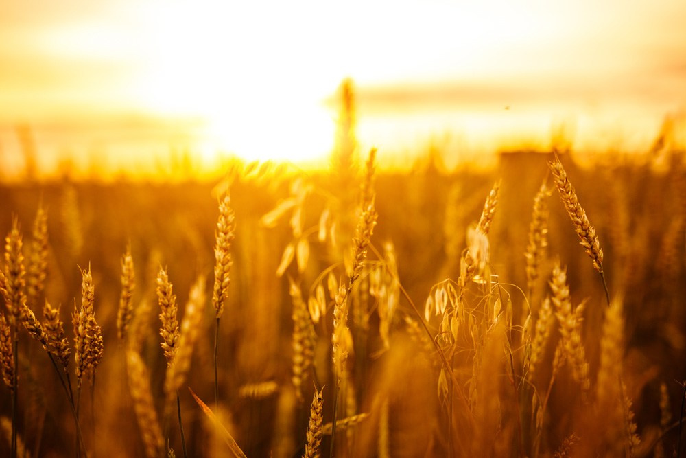 Актанышский район. Промышленный фотограф | Бизнес-фотосессии | Казань и РФ