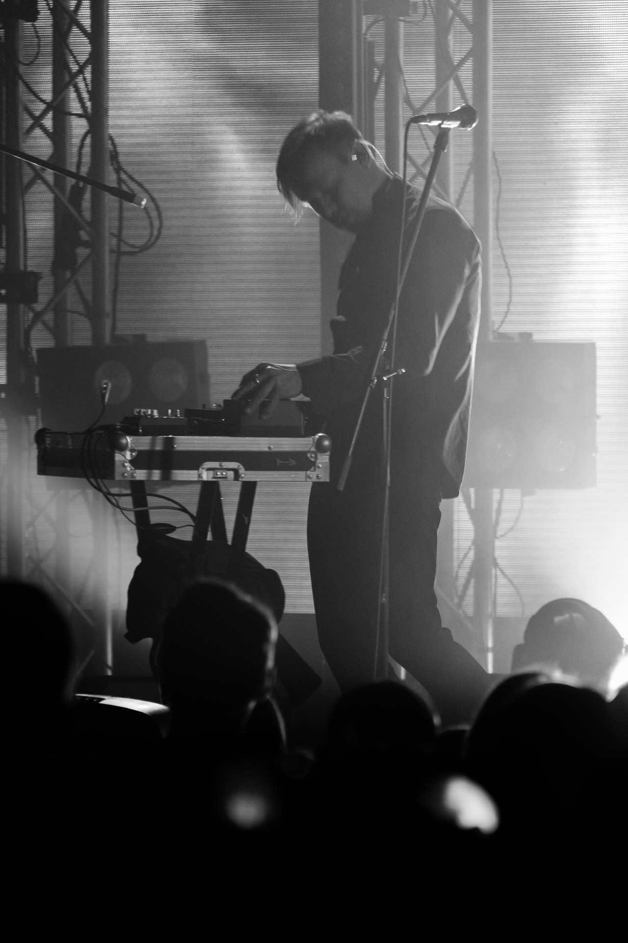 Дельфин. Предметный и репортажный фотограф в Санкт-Петербурге Александр Е