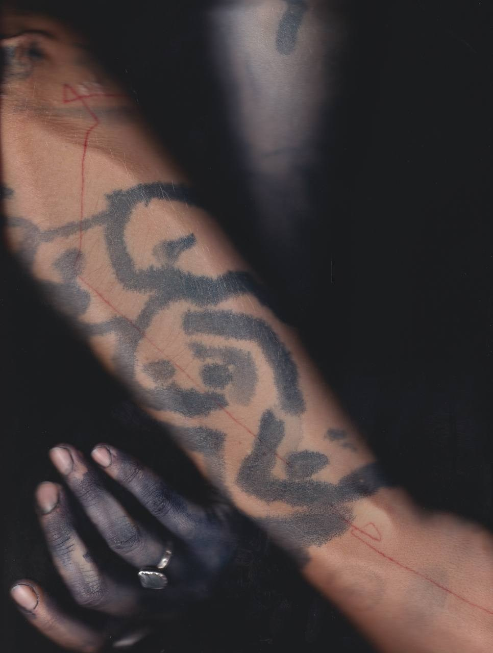 SEDIMENTS AND FOSSILS. Xexexena.ru