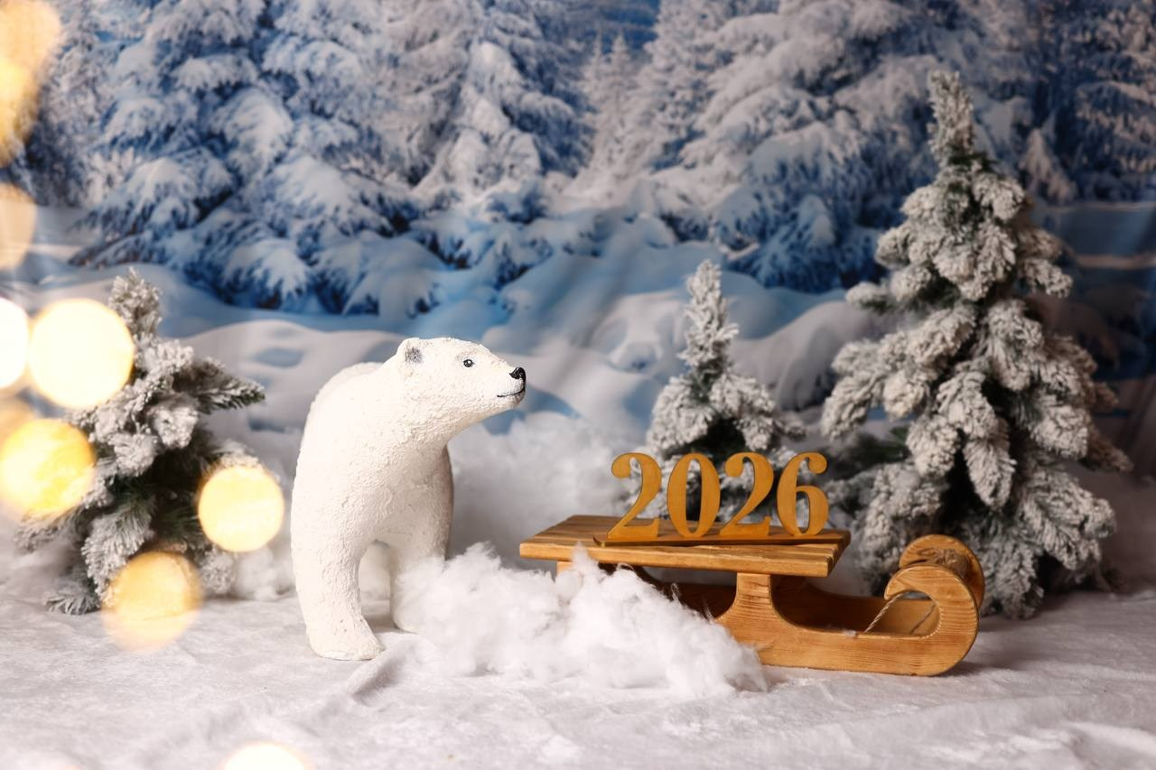 Интерьер фотостудии «Антураж» на Ковалёва, 5. Новый год 2025–2026 гг. Семейный и детский фотограф в Краснодаре Анна Трашкова