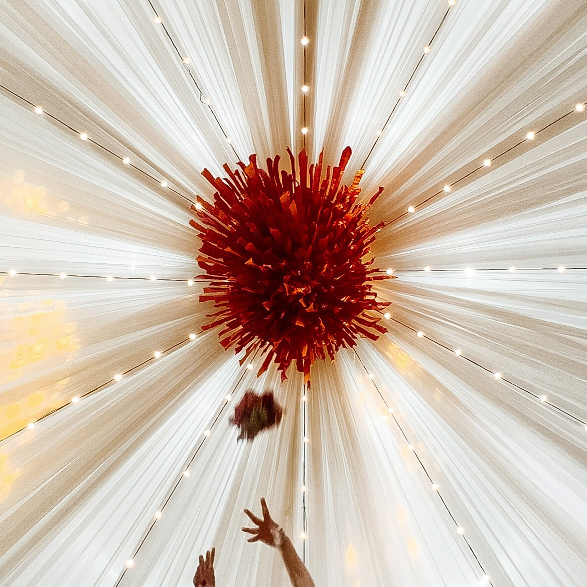 Portfolio Award 2024