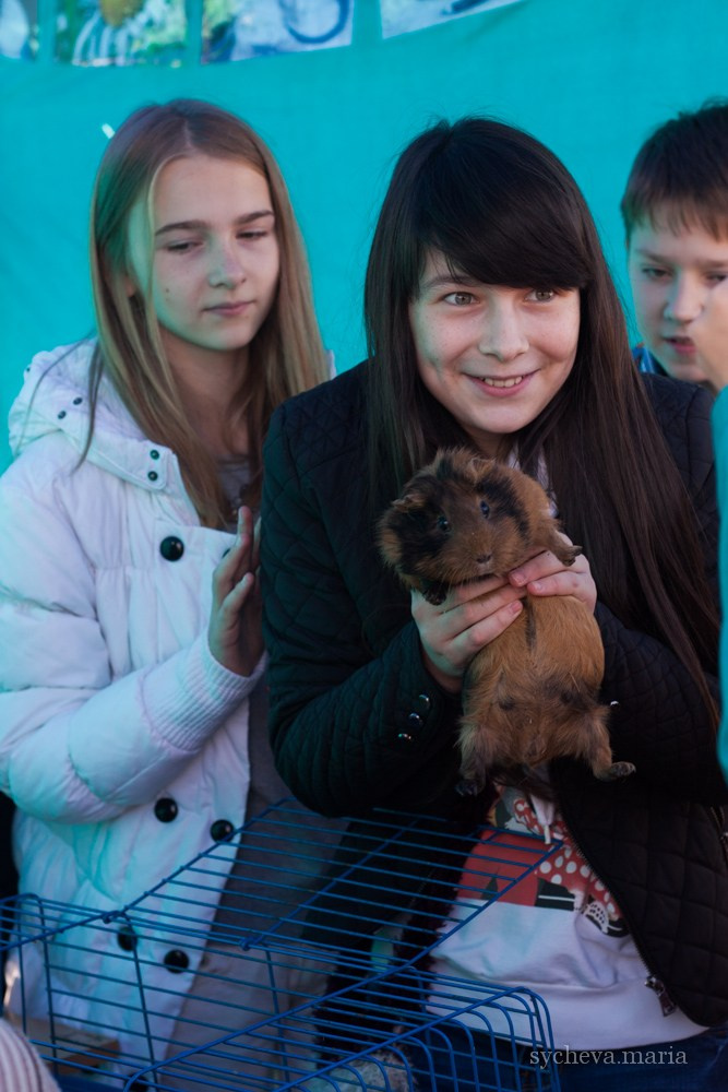 Ярмарка талантов. Детский и семейный фотограф, фотограф мероприятий Нижний Новгород