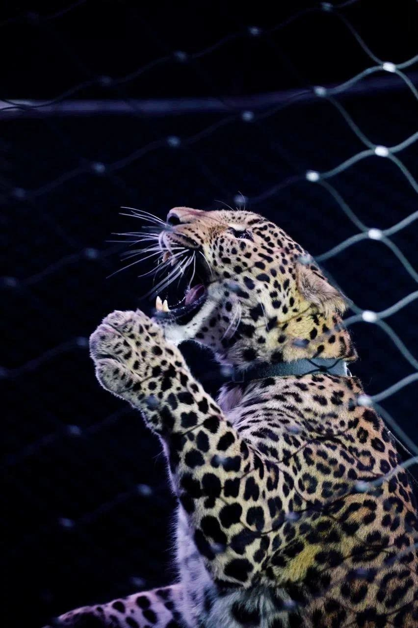 Океонариум. Костюмер, художник кино и телевидения в спб