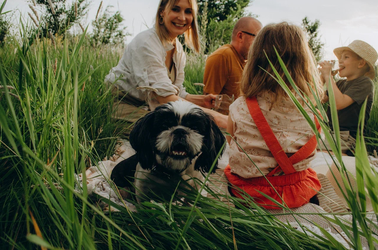 Обучение. Семейный фотограф Маша Тимофеева | Москва