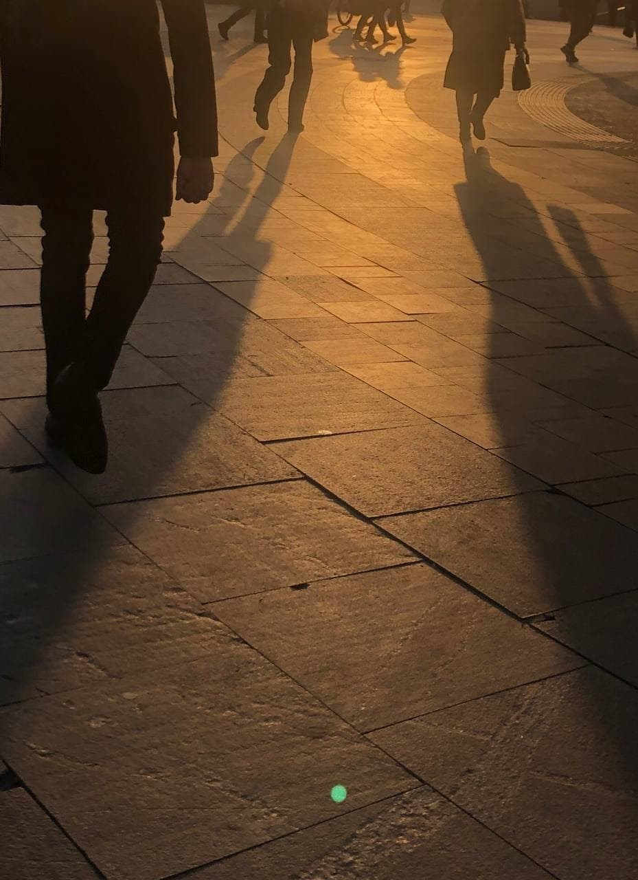 Автор: Дарья Зуева