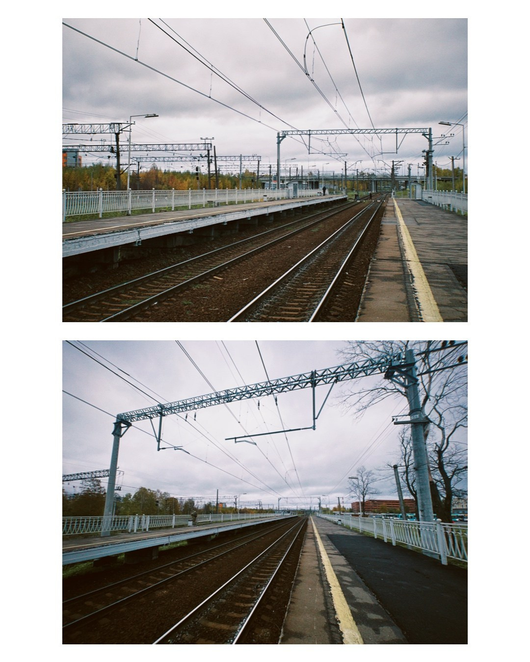 Saint-Petersburg. Alina Panover