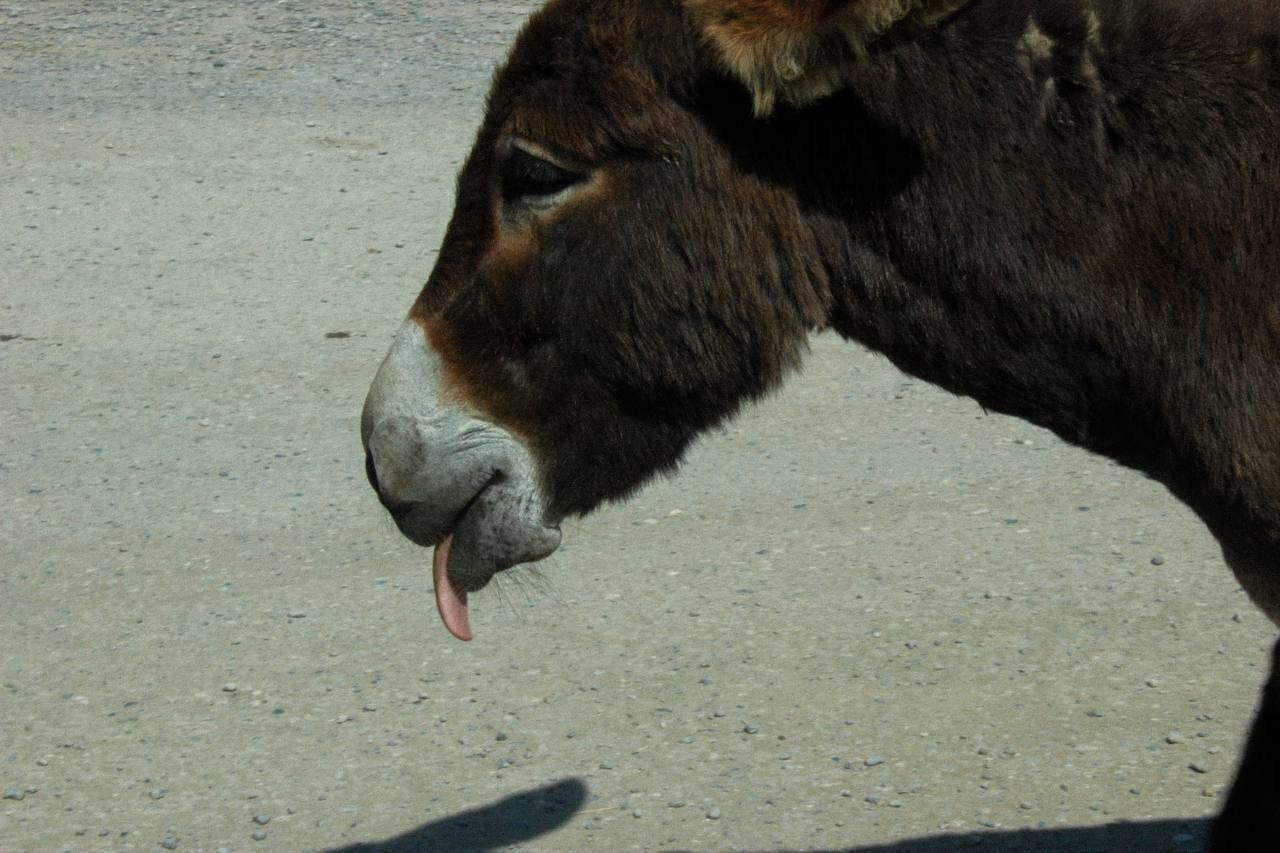 Travel projects. Репортажный и творческий фотограф в Москве Смольякова Анна