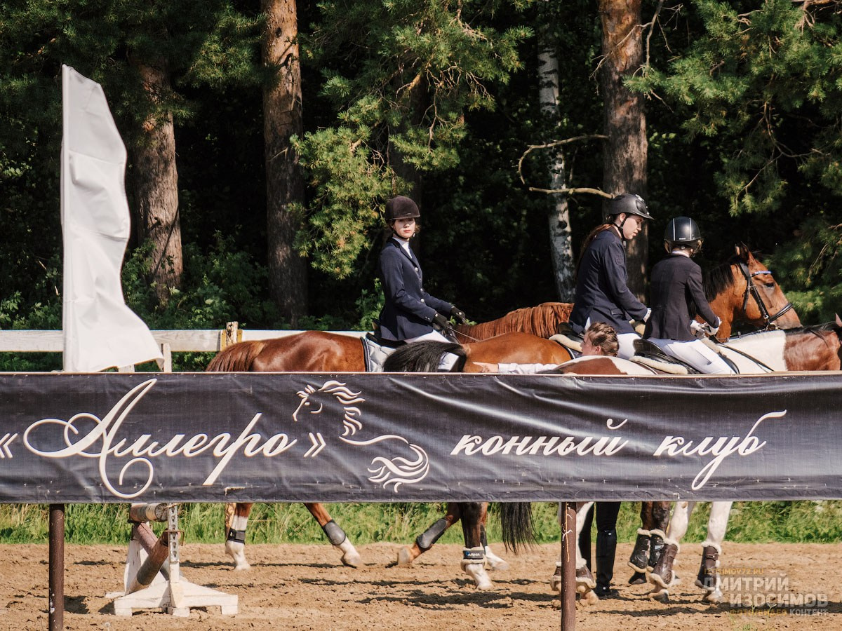 Скачки фаворитов 2024