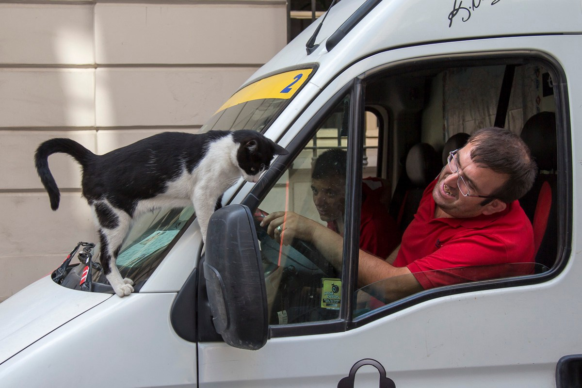 Стамбул, Турция, 2014. Фотограф Василий Буланов