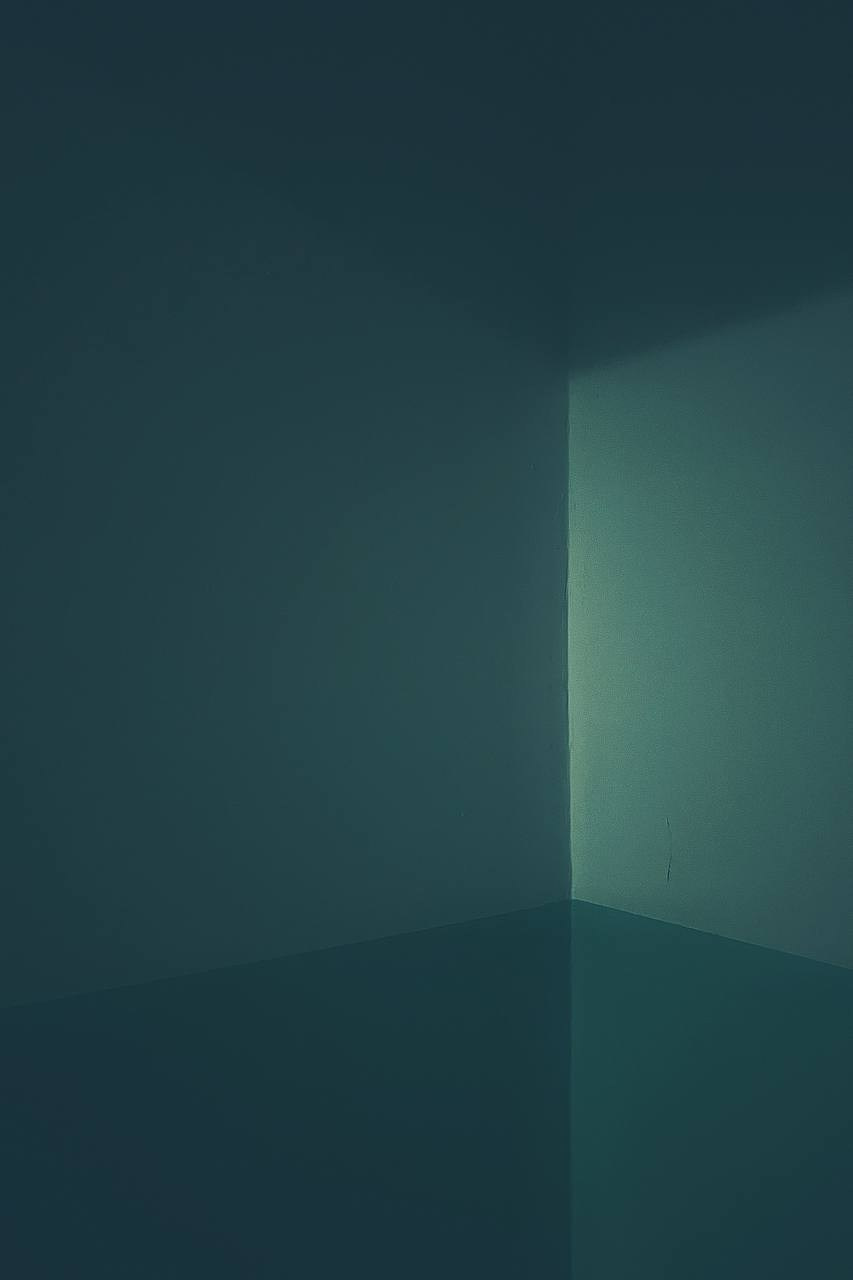 Геометрические фигуры. Светофография