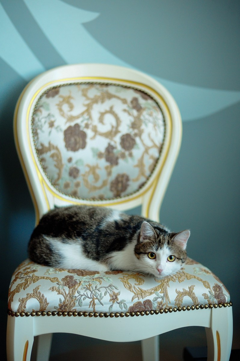 Даша и Миша. Фотограф в Нижневартовске Анна Стрельцова