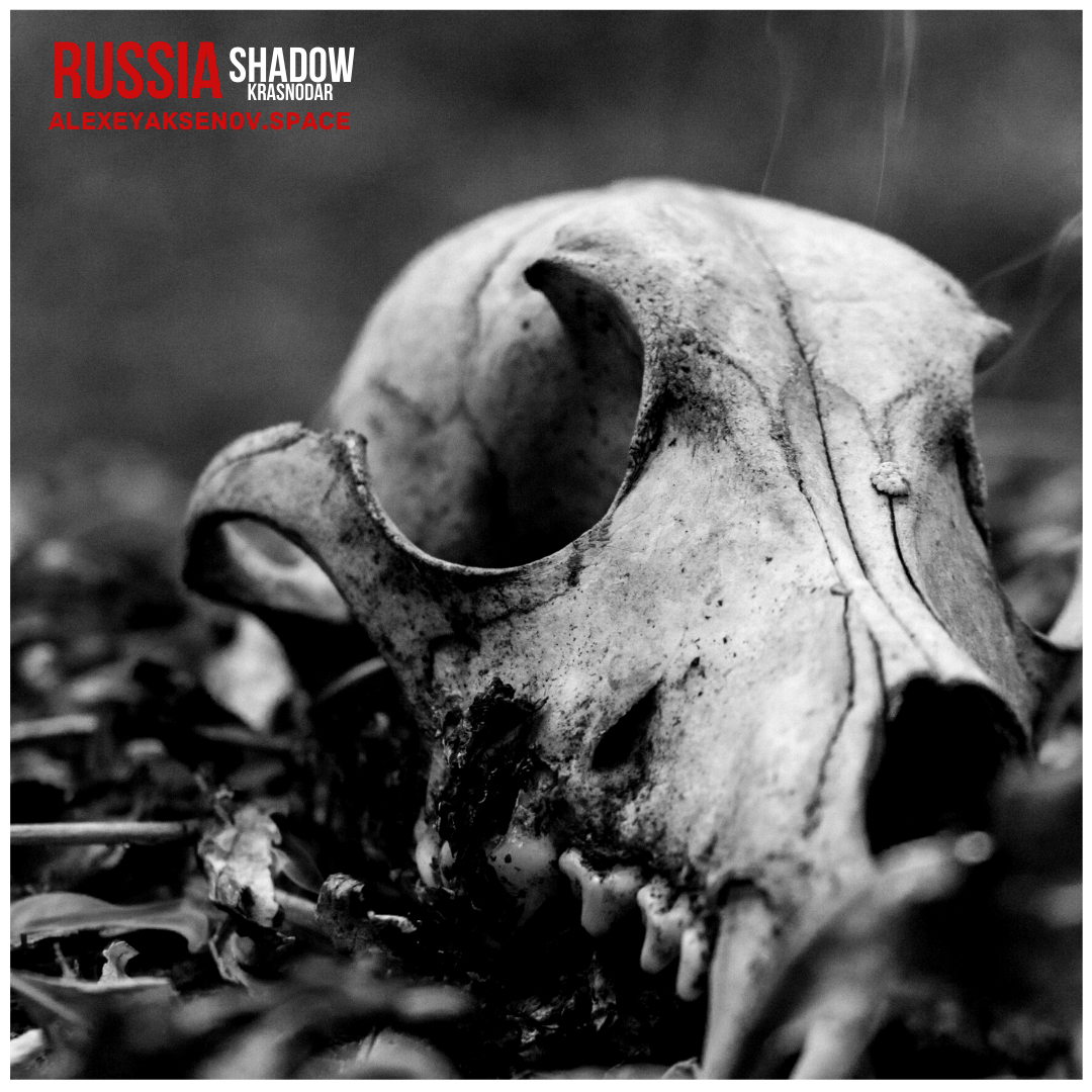 Дом мой — Чистилище. Бизнес, мужской фотограф в Краснодаре | Аксёнов Алексей Владимирович