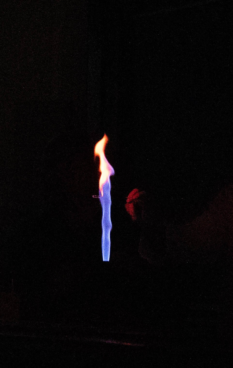 День открытых дверей. Фотограф в Санкт-Петербурге Anna Balashkova