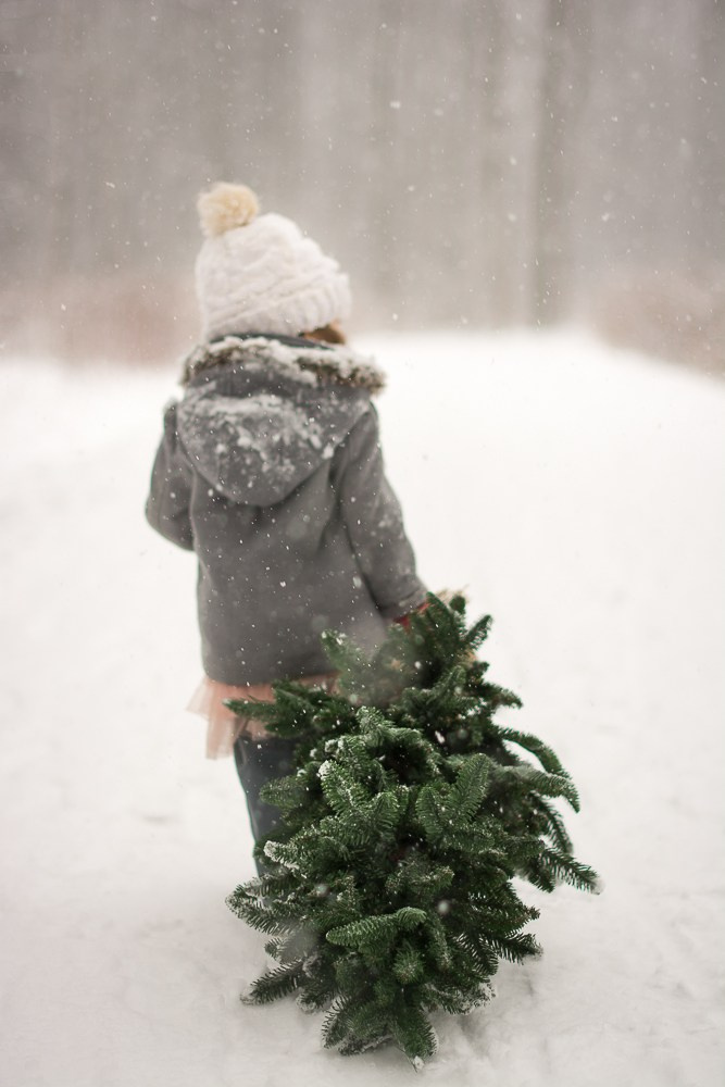 Зима в лесу. Фотосессия беременности — Крылова Натали — Москва