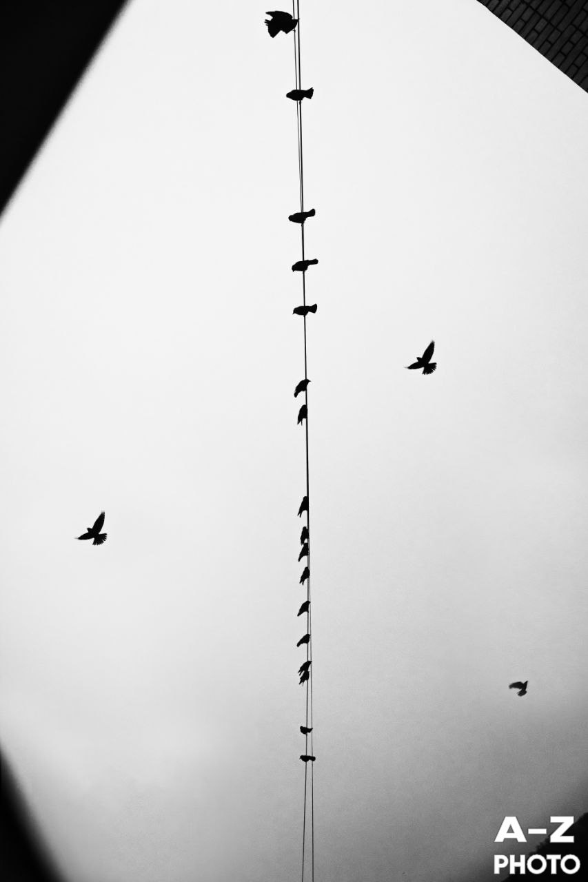 #ФОТОНЕДЕЛИ 09.02.2026. Женский семейный фотограф Тула Москва Захарова Анна