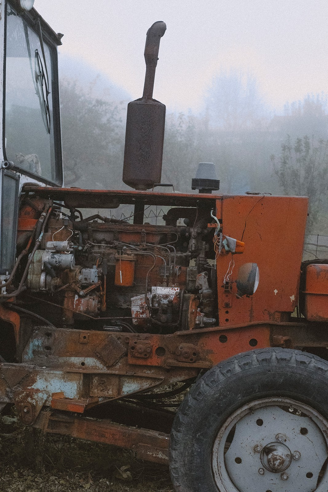 Prints. North Ossetia