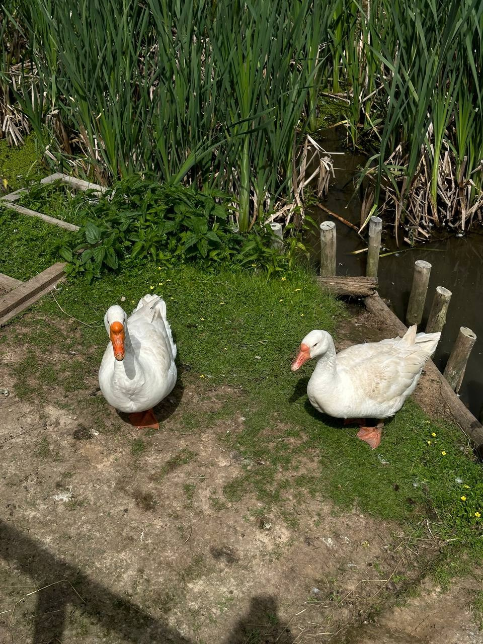 База отдыха. Фотограф в Нижнем Новгороде Лена Бирди