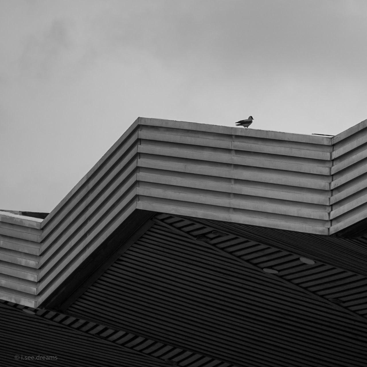 30.11.2024 // Фотоэкскурсия по Воробьевым горам с your_guide_msk. Фотовыставки serebro.gallery, в которых автором можешь стать ты! | Москва