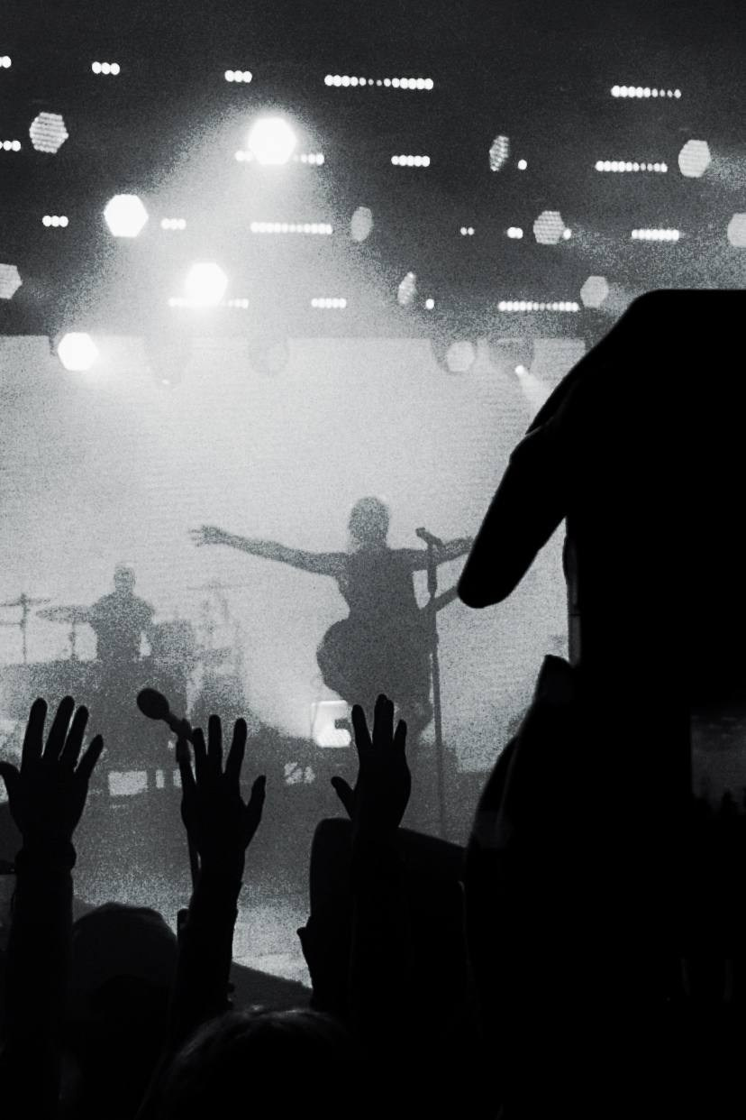 Концертные фото. Wirinsens