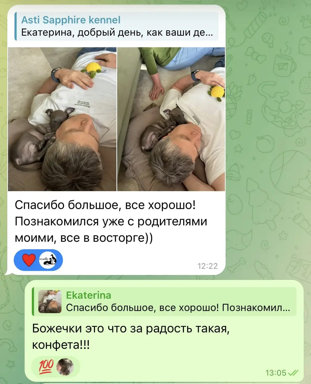 Левретки и мужчины. Профессиональный питомник левреток РКФ/FCI ASTI SAPPHIRE 💎 Сочи|Санкт-Петербург