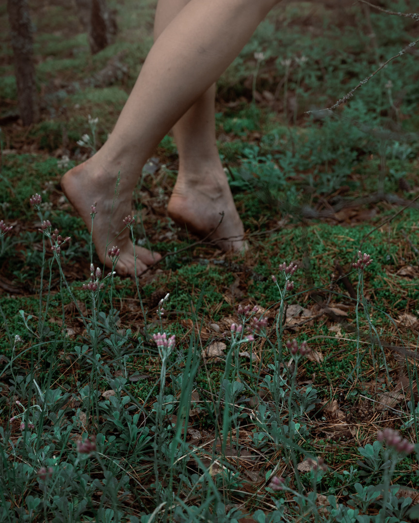 Фотосессия в люпинах. Фотограф в Белграде Чугреева Елена