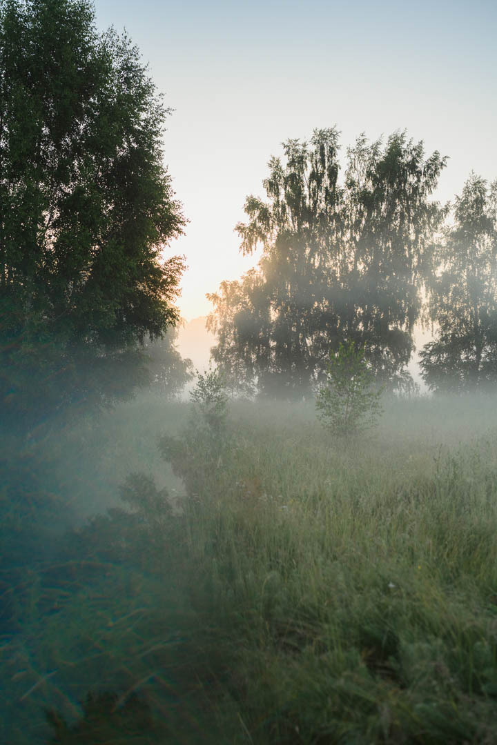 Портрет на рассвете. Фотограф в Белграде Чугреева Елена