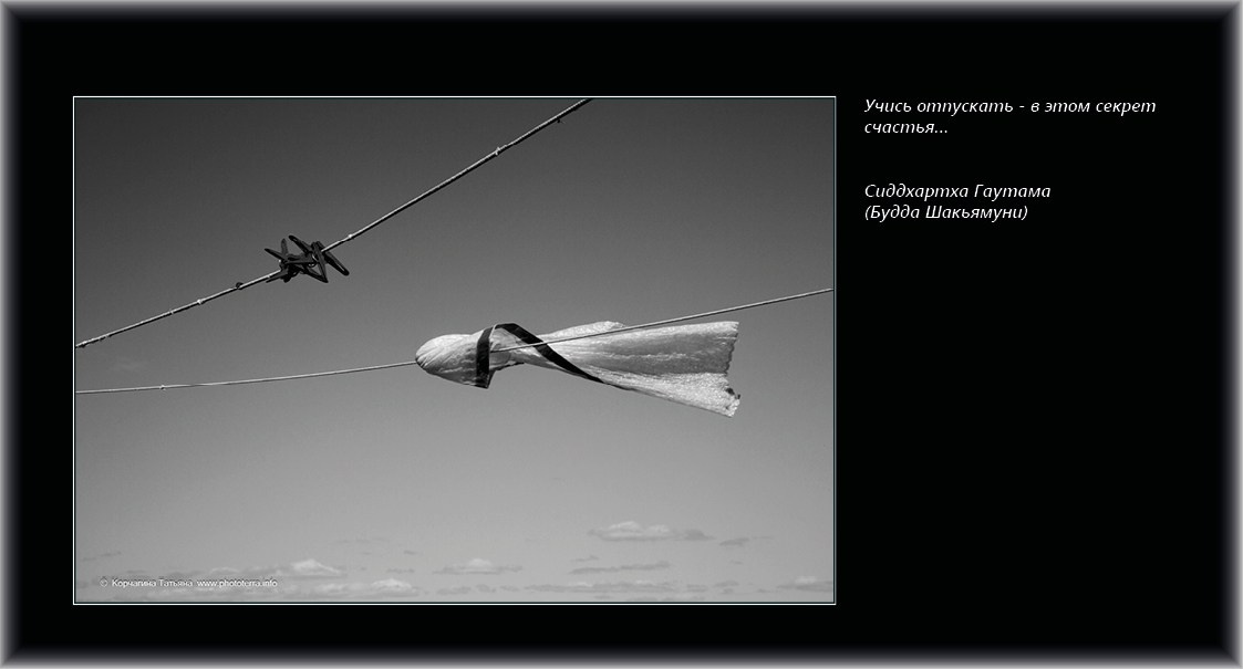 Совет дня — ориентир. Татьяна Корчагина. Фотограф, художник. Обучение фотографии