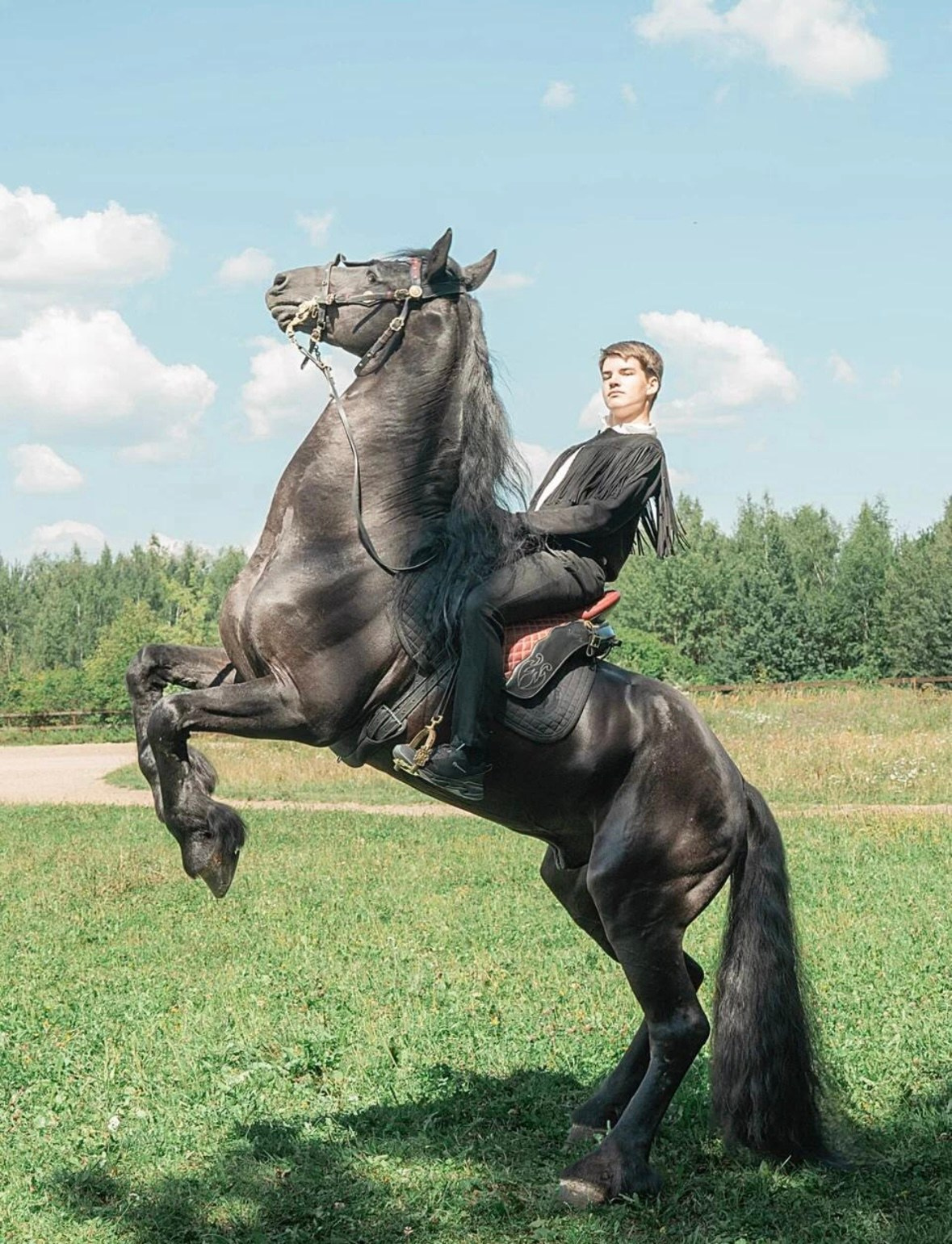Лошадки Лето. Фотограф Зинаида Евдокимова