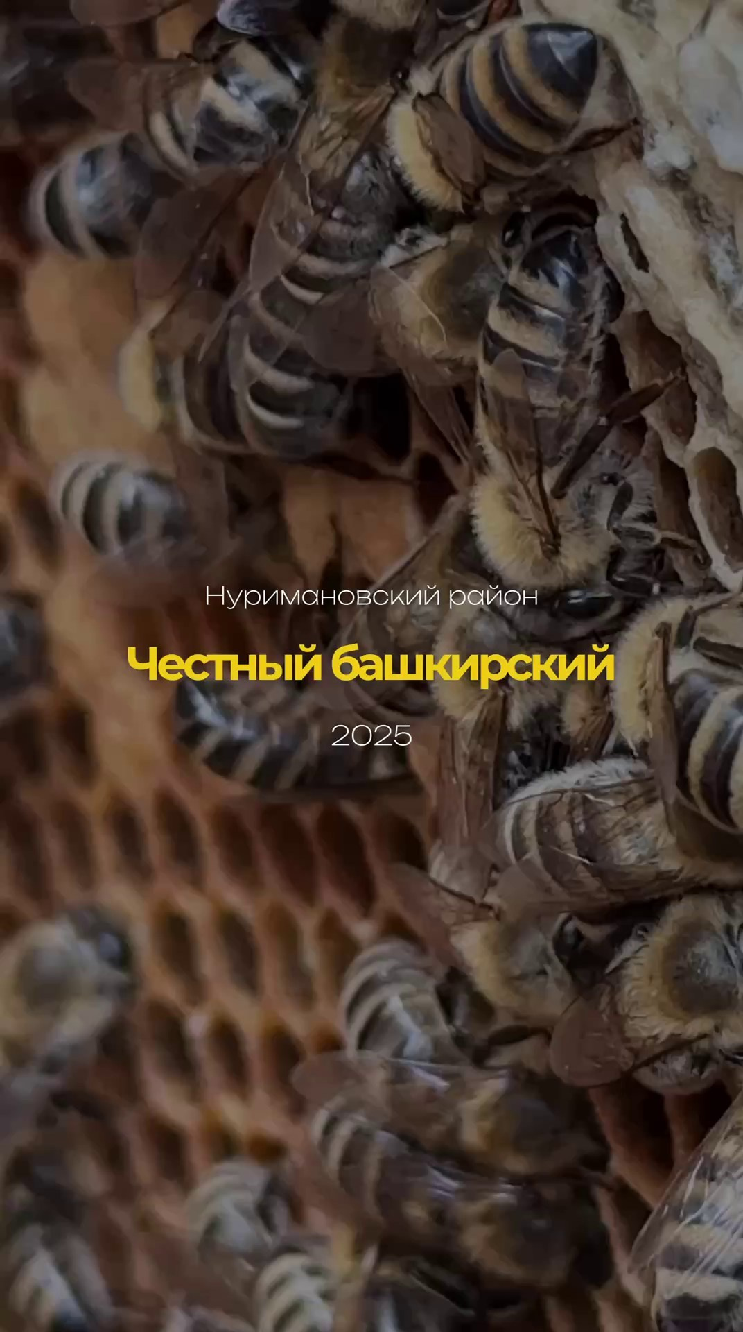 Ka.vision|Видеосъёмка, монтаж и SMM в Уфе и онлайн по РФ|Карина Багаутдинова