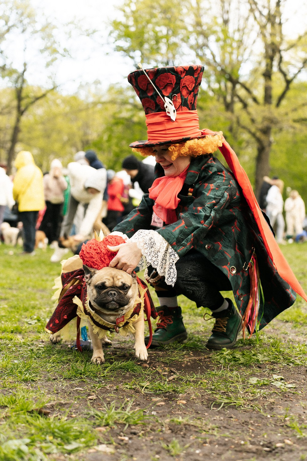 Парад Бульдогов. Axenov_eugene