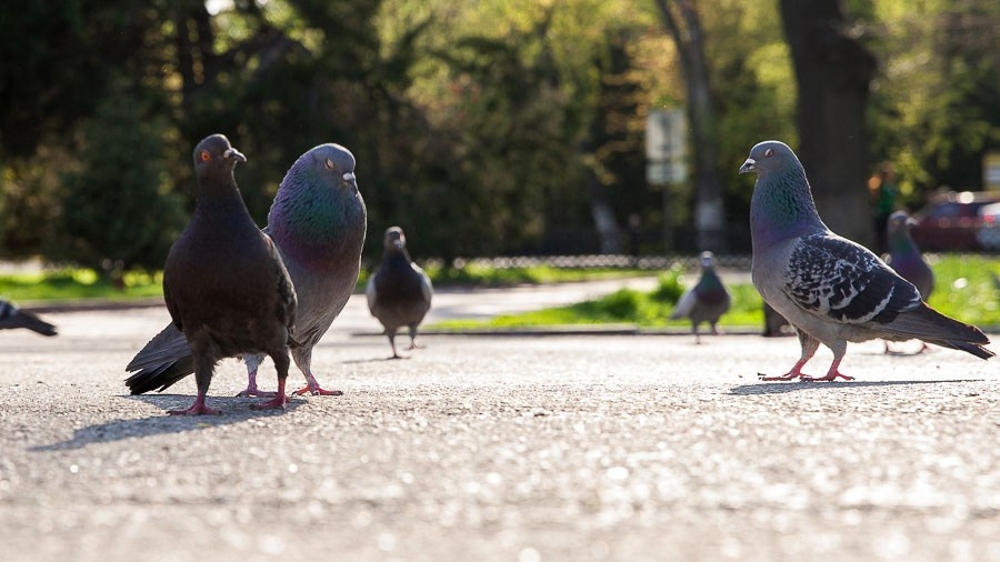 Street art. Фотостудия Алматы. Фотосъемка Алматы. Фотосессия Алматы. Фотокурсы. Обучение фотографии. Аренда студии