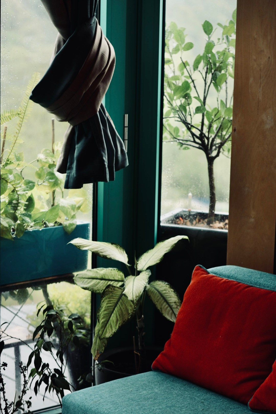 DESIGN. Maria Massouh | Arts & Art Therapy