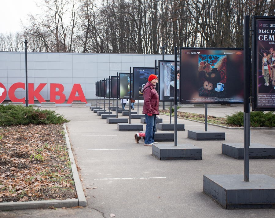 Шашкина Юлия Владимировна. Галерея участников Российской Премии Искусств