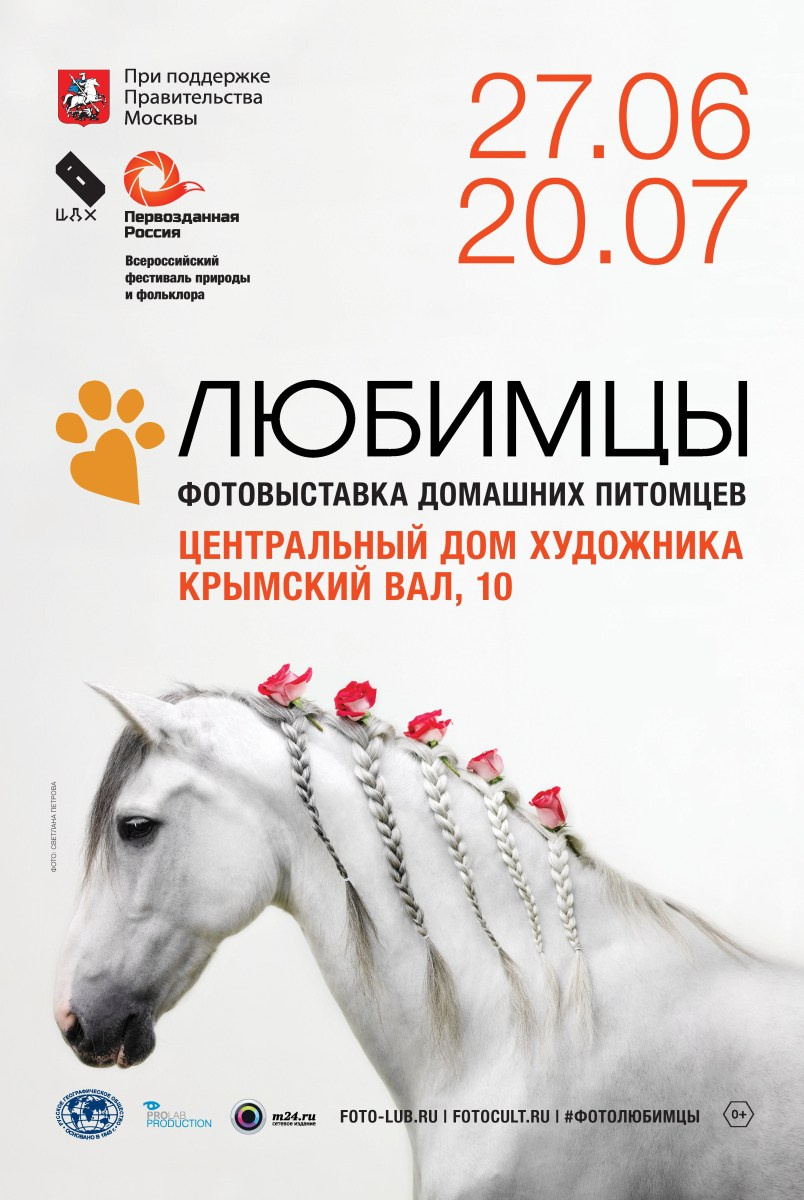 Публикации. Лана Петрова, фотограф