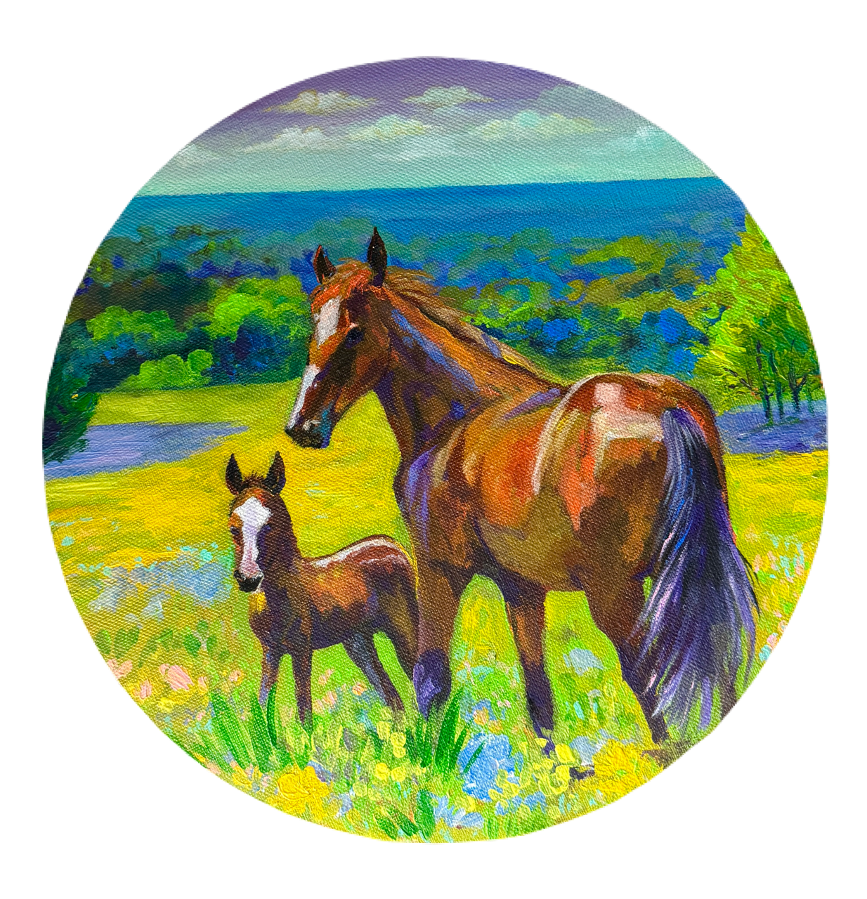 Иллюстрации. Фотограф в Санкт-Петербурге