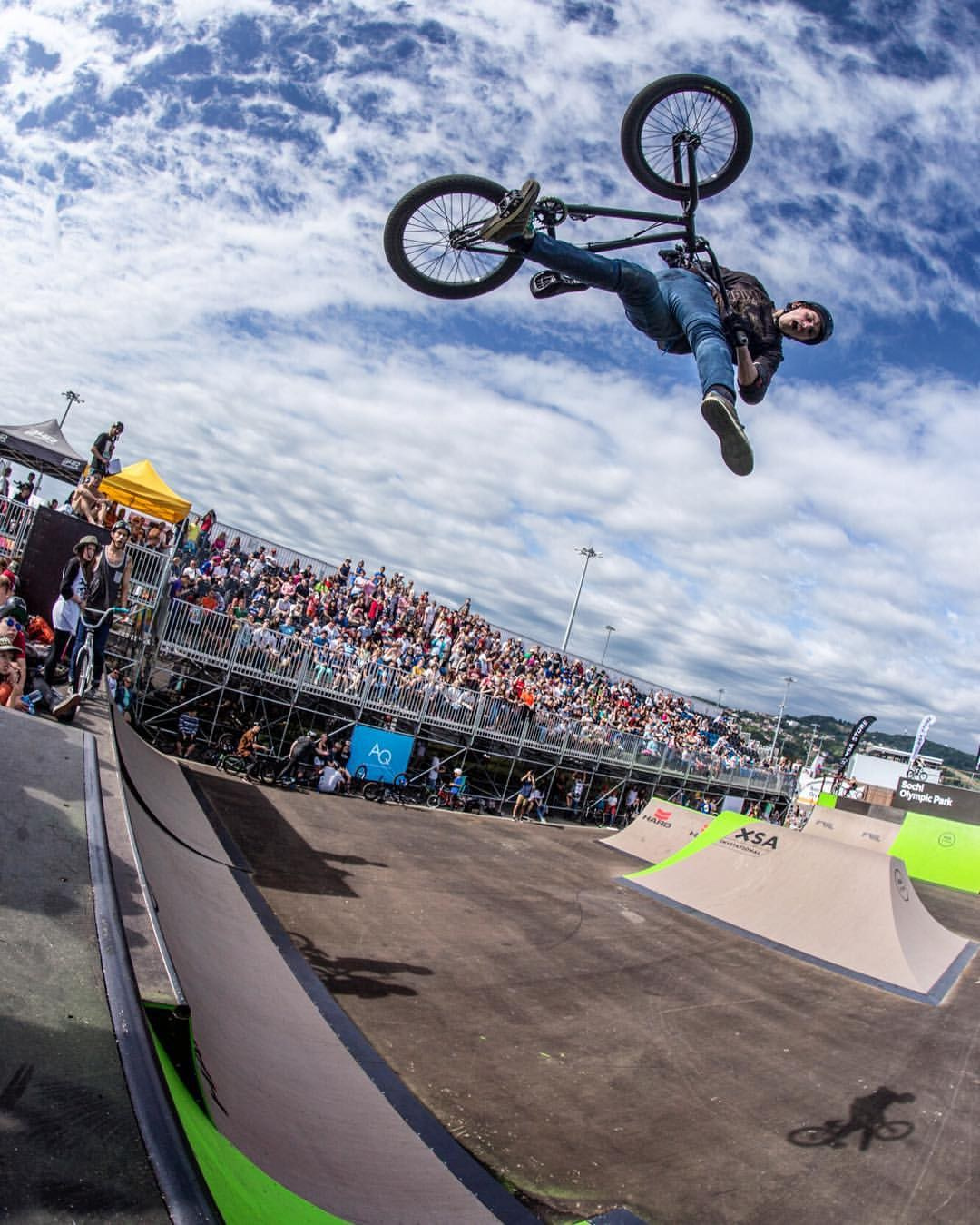 Random photo roulette. Bivol images